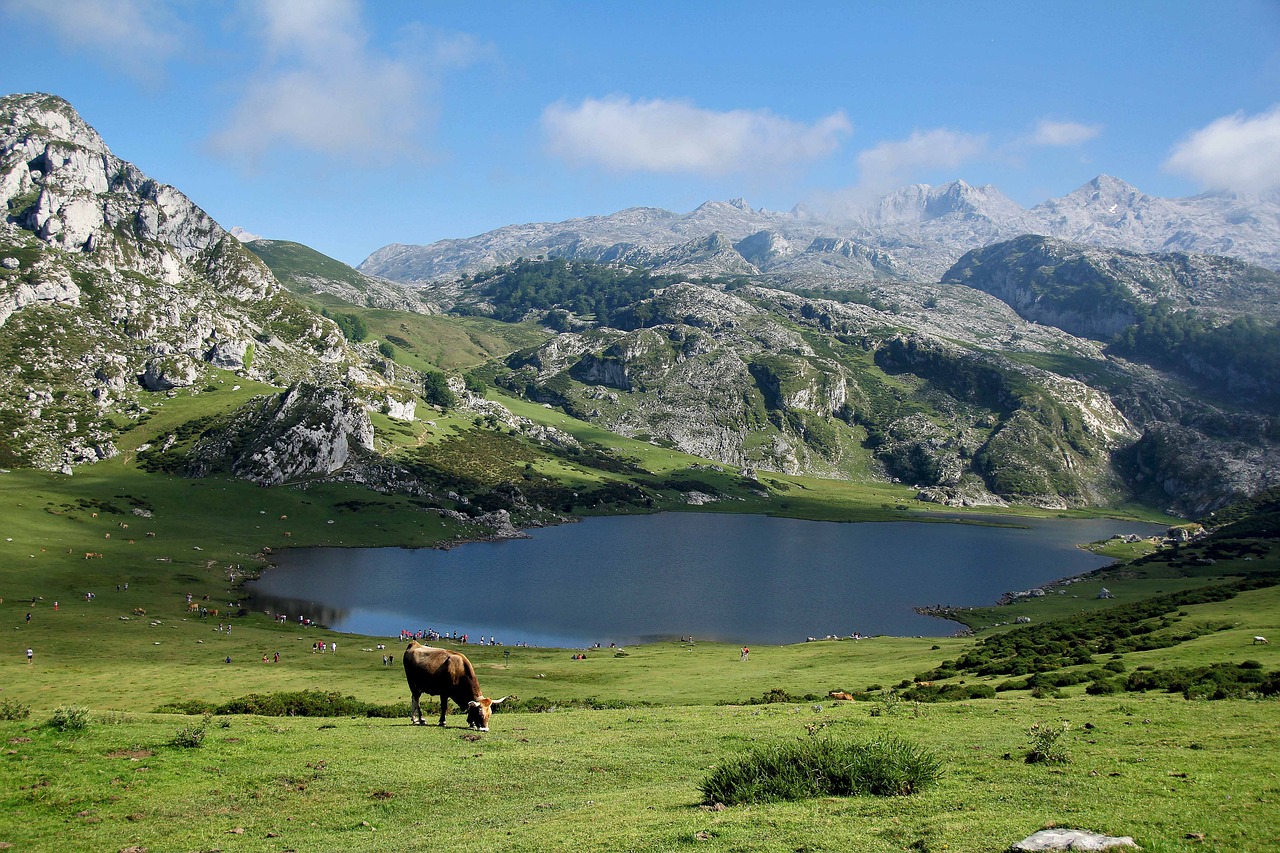 Comment organiser un séjour bien-être à la montagne ?